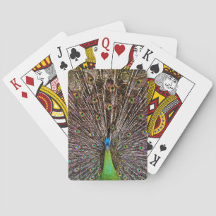 Peacock Playing Cards
