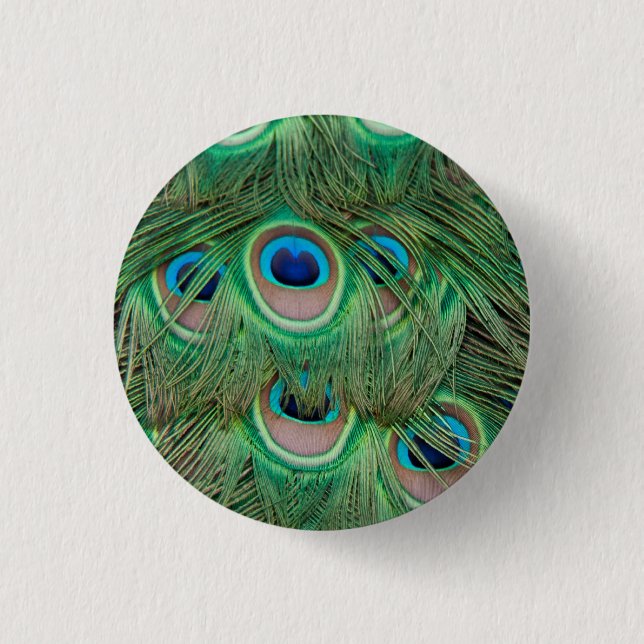 Peacock plumage 1 inch round button (Front)