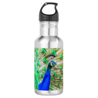 Peacock Plumage 532 Ml Water Bottle