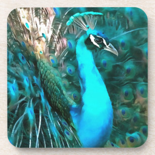 Peacock Plumage Coaster