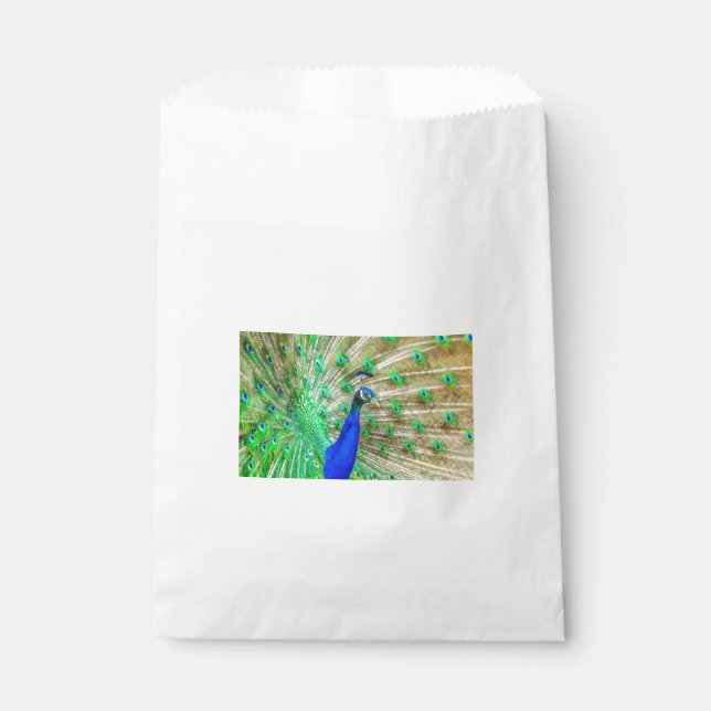 Peacock Plumage Favour Bag (Front)