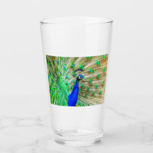 Peacock Plumage Glass