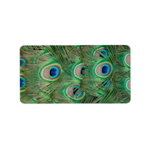 Peacock plumage label