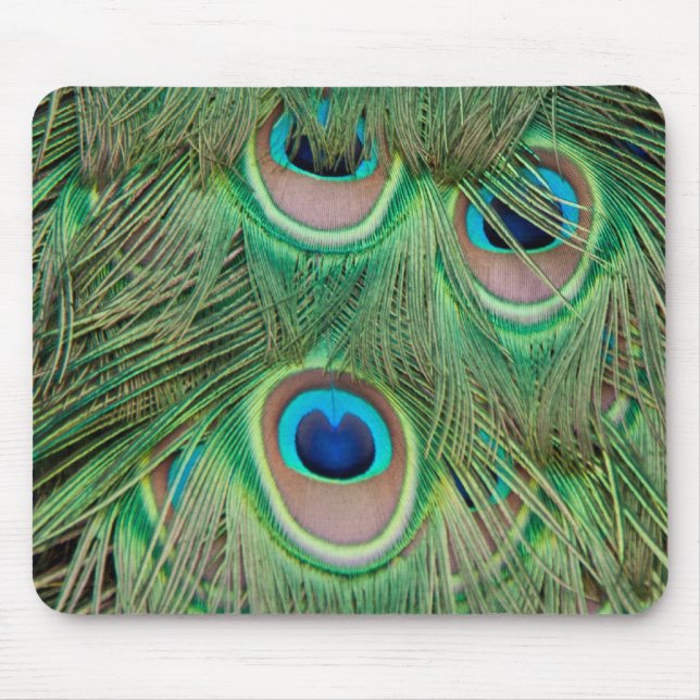 Peacock plumage mouse pad (Front)