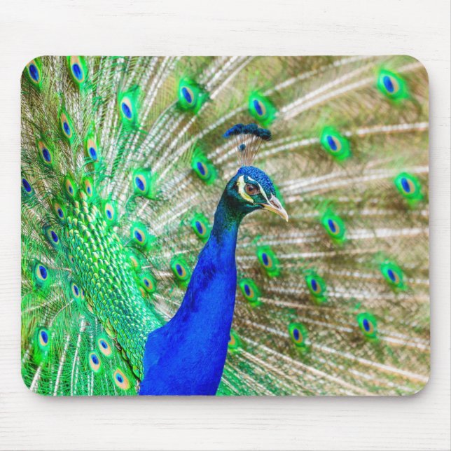 Peacock Plumage Mouse Pad (Front)