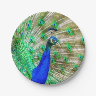 Peacock Plumage Paper Plate