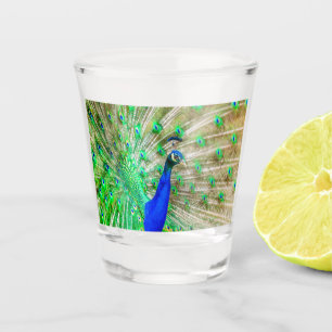 Peacock Plumage Shot Glass