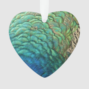 Peacock Plumes I Colorful Abstrait Nature Design