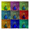 peacock pop art