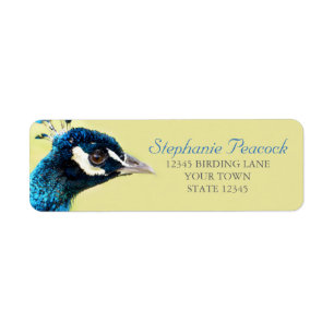 Peacock Portrait Photograph Return Address Labels