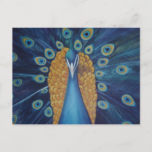 Peacock Postcard (Front)