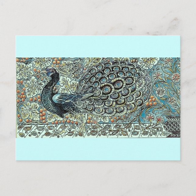 Peacock Postcard (Front)