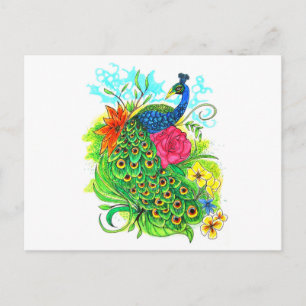 Peacock Postcard