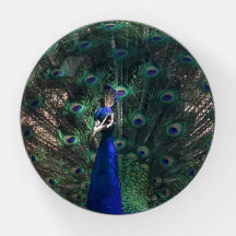 Peacock Pretty Glass Paperweight Gift for Her