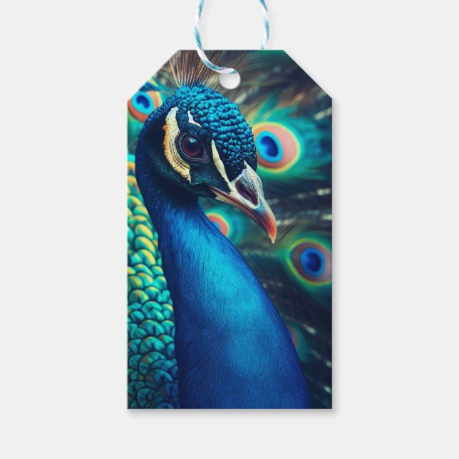 Peacock Profile Gift Tags (Front)