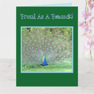 Peacock/"PROUD AS A PEACOCK"/HAPPY BIRTHDAY DAD Card
