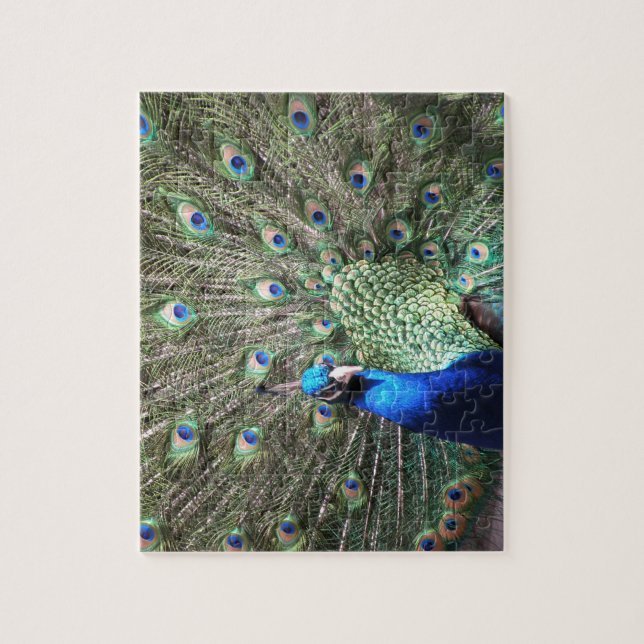 Peacock puzzle (Vertical)