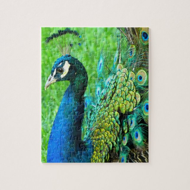 Peacock Radiance Puzzle (Vertical)