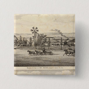 Peacock res, Willow Glen 2 Inch Square Button