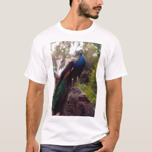 Peacock Rock 15" Laptop Skins T-Shirt