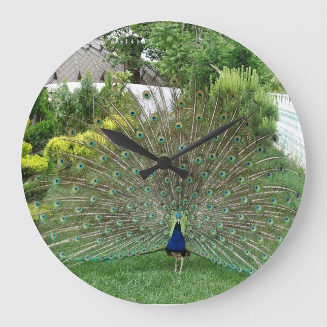 Peacock Round (Large) Wall Clock (Front)