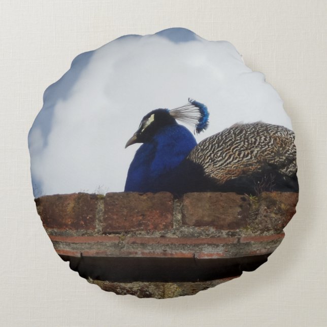 Peacock  Round Pillow (Back)