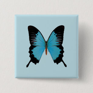 Peacock Royal 2 Inch Square Button