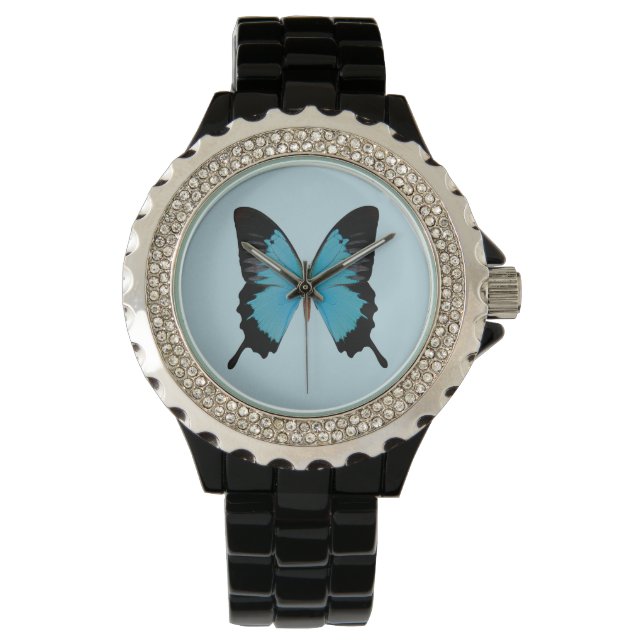 Peacock Royal Watch (Front)