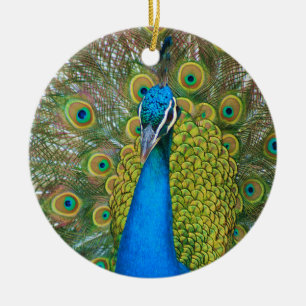 Peacock S9K.jpg Ceramic Ornament