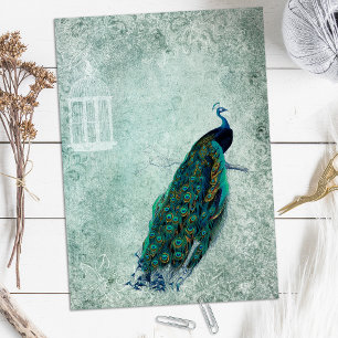 Peacock Scrapbook Paper