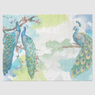 Peacock Series Design 2 Tissue Paper