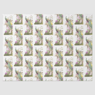 Peacock Series Design  5 Tissue Paper
