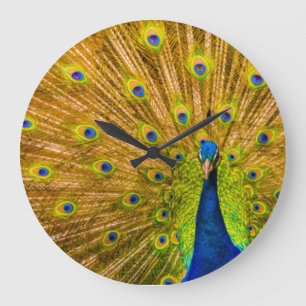 Peacock, Silver Falls, Kauai, Hawaii Large Clock