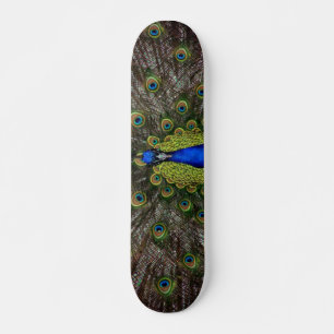 Peacock Skateboard