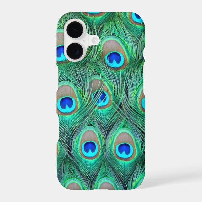 Peacock Splendour (Back)