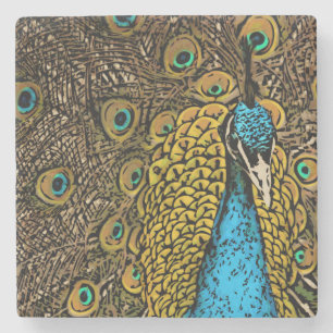Peacock Splendour Illustration Stone Coaster