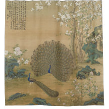 Peacock Spreads its Tail Fine Art
