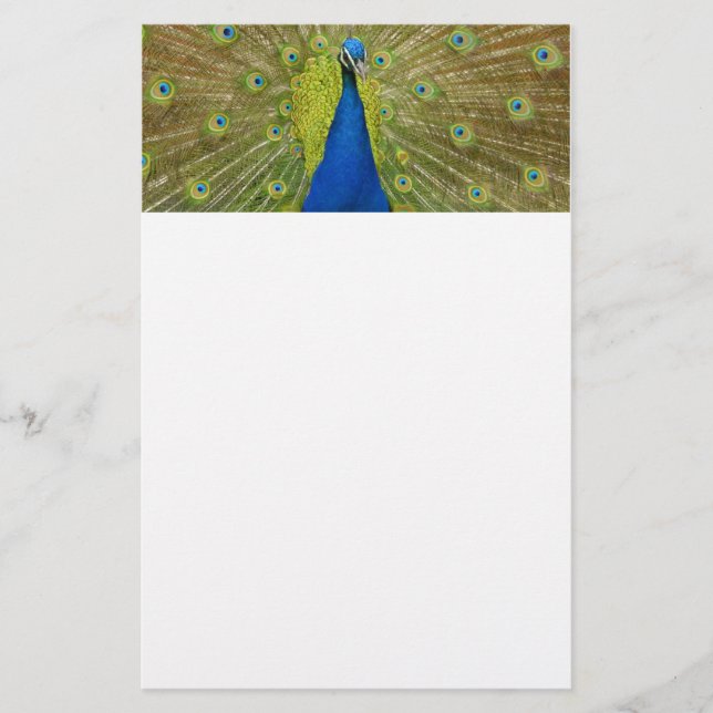 Peacock Stationary Stationery (Front)