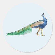 Peacock Stickers 