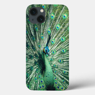 Peacock Strut  iPhone 13 Case
