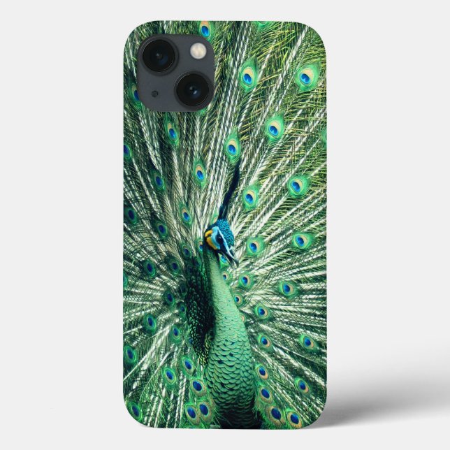 Peacock Strut  Case-Mate iPhone Case (Back)