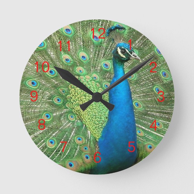 Peacock Strut Clock Red2 (Front)