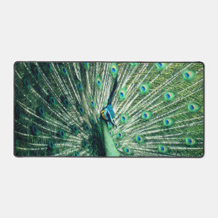 Peacock Strut  Desk Mat