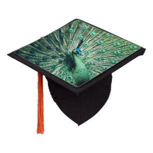 Peacock Strut Graduation Cap Topper