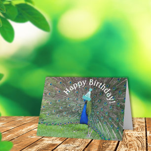 Peacock Strut•Happy Birthday! Card