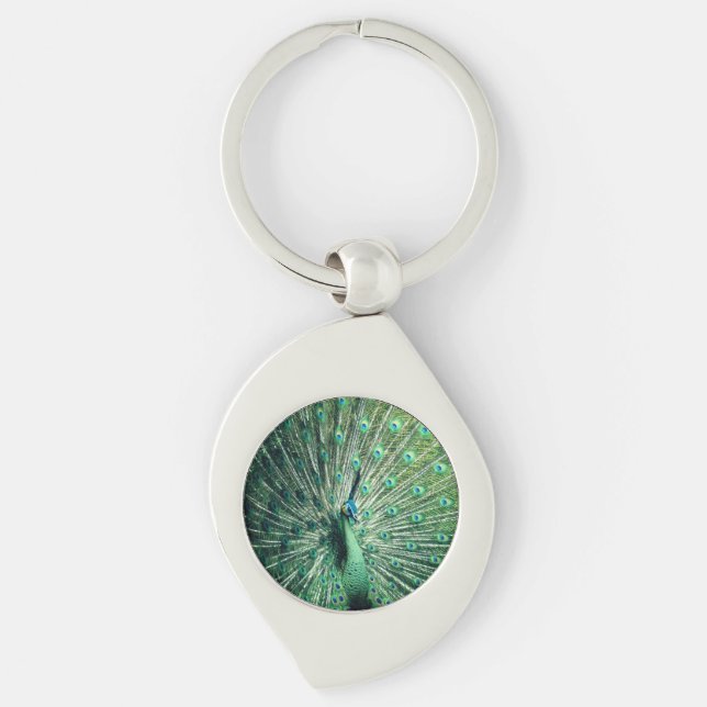 Peacock Strut  Keychain (Front)