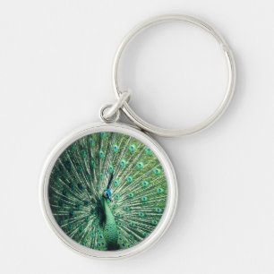 Peacock Strut  Keychain