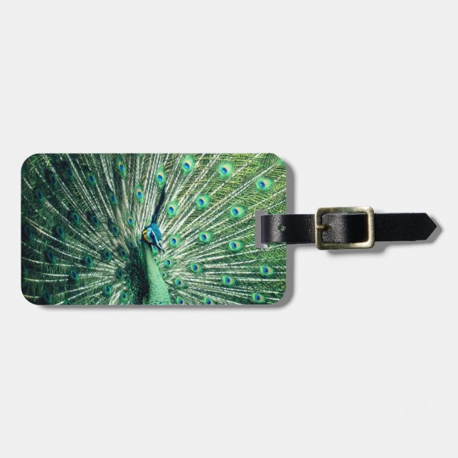 Peacock Strut  Luggage Tag (Front Horizontal)