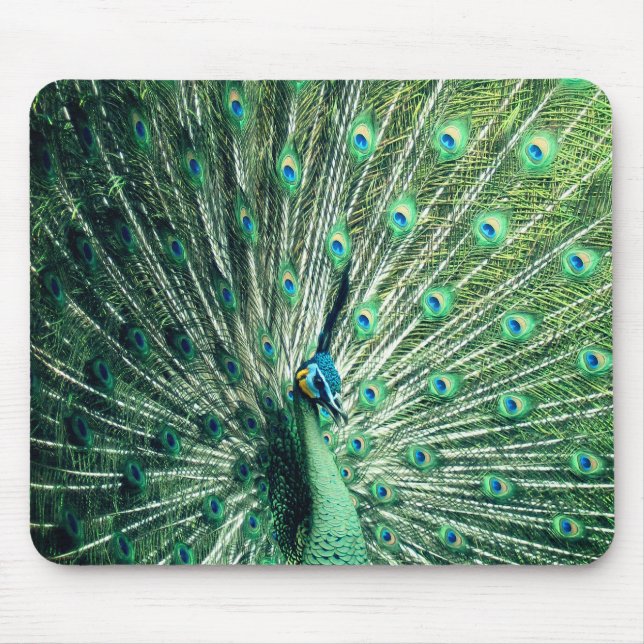 Peacock Strut  Mouse Pad (Front)
