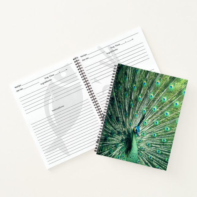 Peacock Strut  Notebook (Inside)